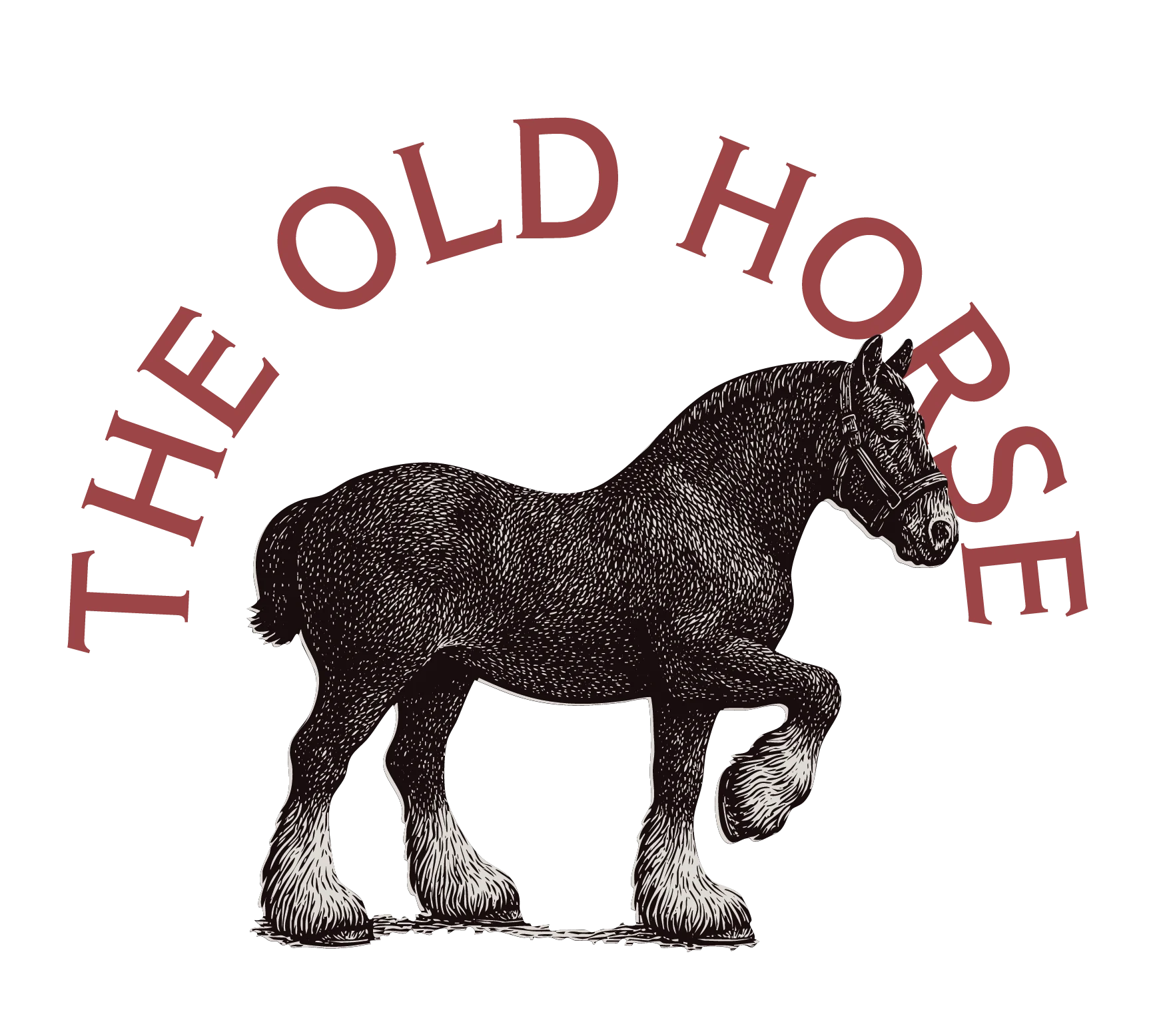 The Old Horse - Leicester
